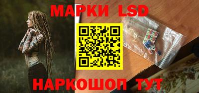 стаф Камышлов