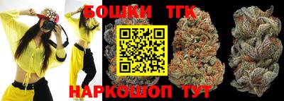 стаф Камышлов