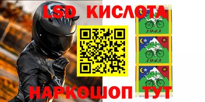 стаф Камышлов