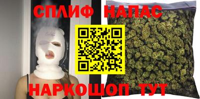 стаф Камышлов