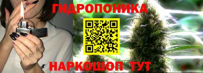 прущая мука Кандалакша