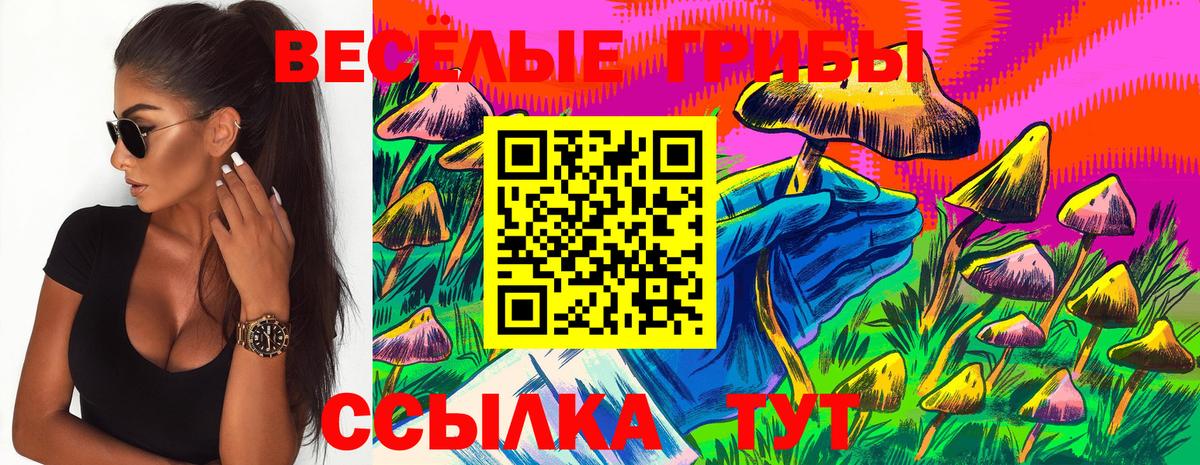 Псилоцибиновые грибы прущие грибы Бирск