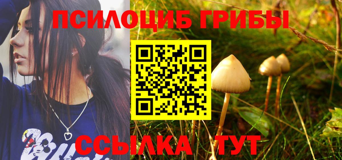 Псилоцибиновые грибы Psilocybine cubensis  Галлюциногенные грибы прущие грибы  Бирск  Вход с VPN 